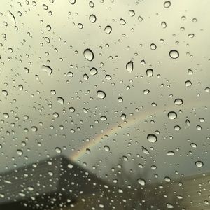 Meet your Posher, Savannah